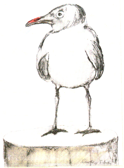 pg17pic.jpg (268019 bytes)