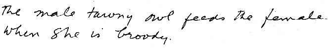pg1txt.jpg (20357 bytes)