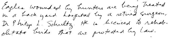 pg3txt.jpg (49333 bytes)