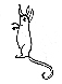 mouse.gif (1694 bytes)