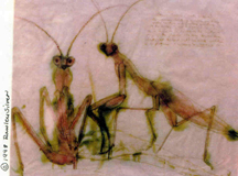 pg5pic.jpg (42578 bytes)