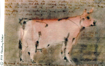 pg9pic.jpg (42329 bytes)