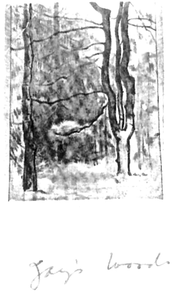 pg10pic.jpg (91674 bytes)
