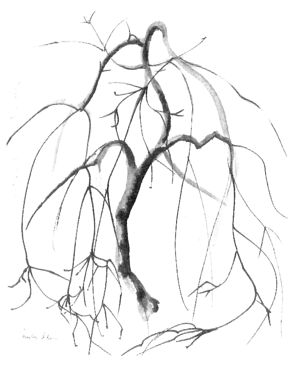 pg12pic.jpg (125188 bytes)