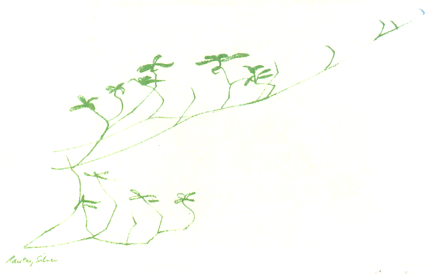 pg14pic.jpg (144396 bytes)