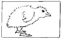 wpeC.jpg (4807 bytes)