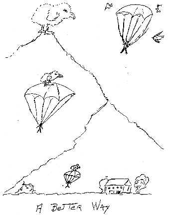 wpeF.jpg (16894 bytes)