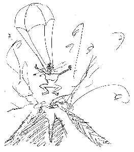 wpe12.jpg (13204 bytes)