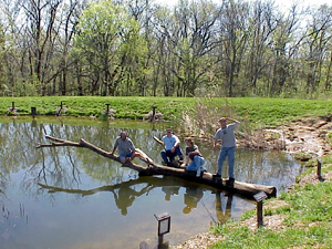 Wild Pond